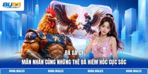 Đá Gà C1 | Mãn Nhãn Cùng Những Thế Đá Hiểm Hóc Cực Sốc