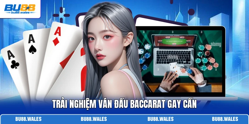 Trải nghiệm ván đấu Baccarat gay cấn