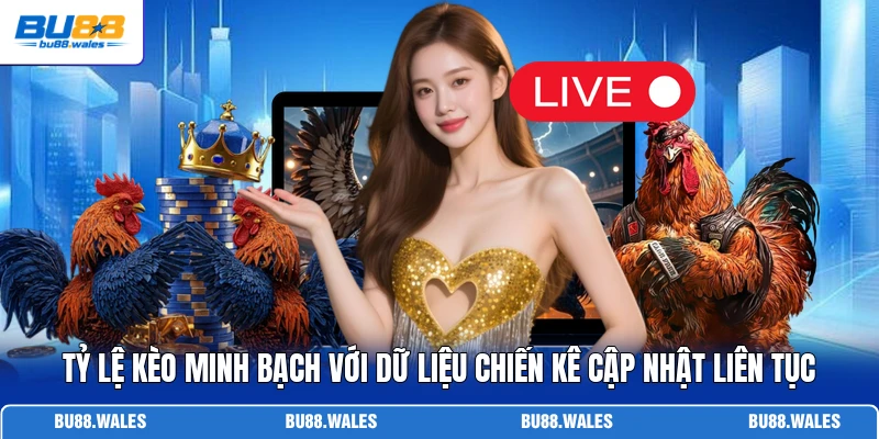 Tỷ lệ kèo minh bạch với dữ liệu chiến kê cập nhật liên tục
